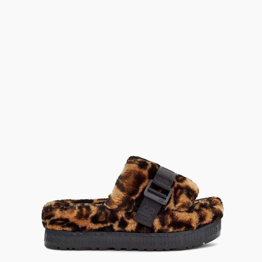 ugg molly jogger