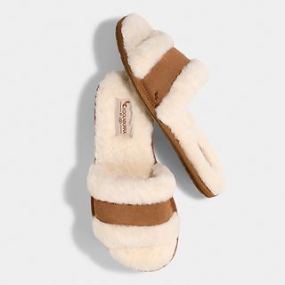 Koolaburra by sales ugg canada
