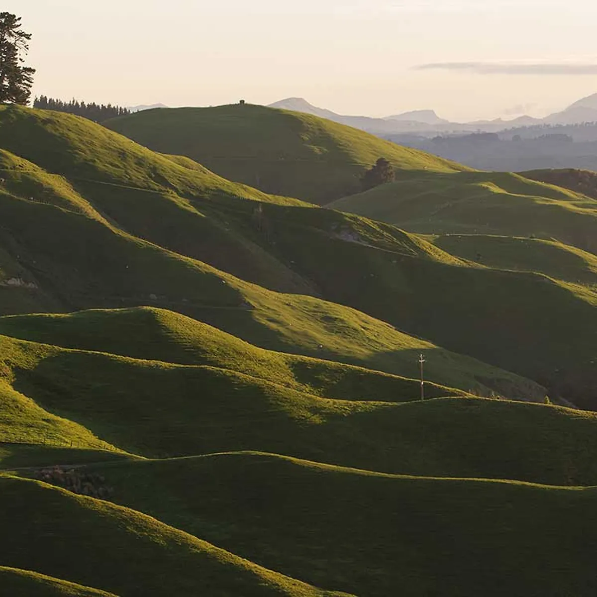 Regenerate by UGG｜UGG®（アグ）公式サイト